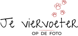 logo je viervoeter op de foto